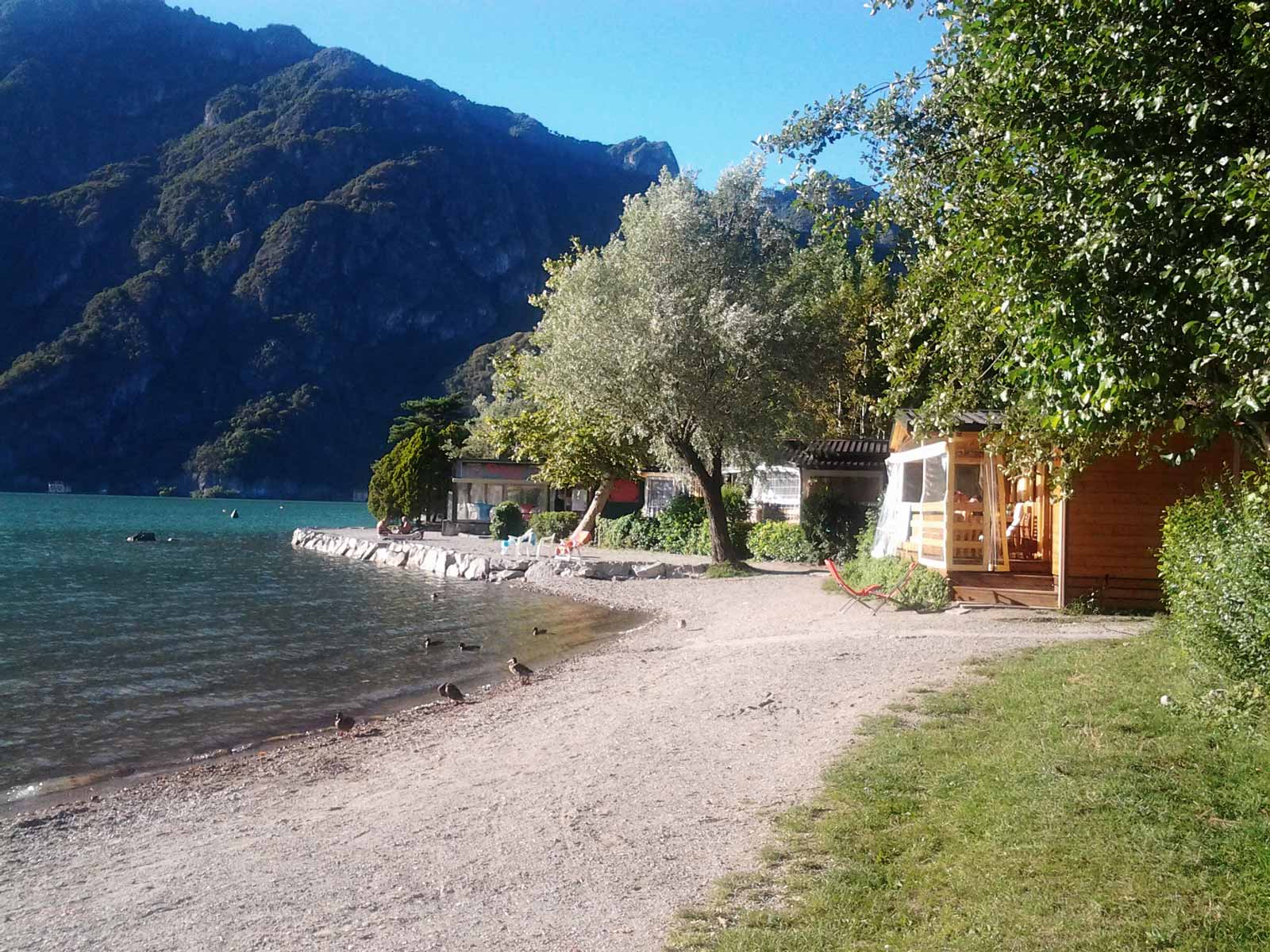 Camping International